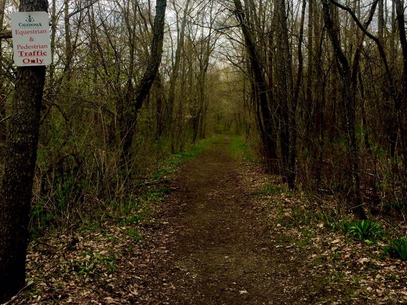 Spring Right of&nbsp;Way